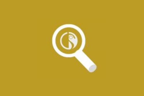 Ricerca professionista nell'Albo Nazionale